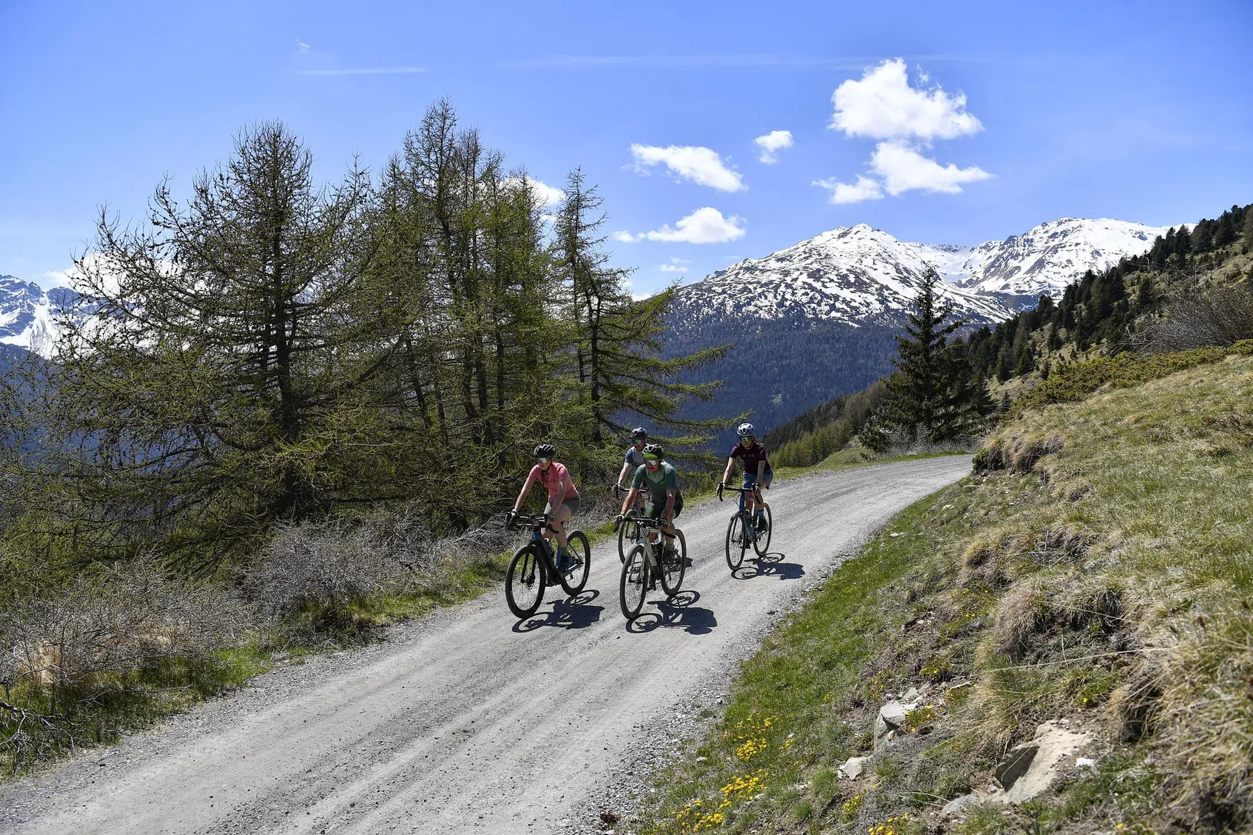 Bormio Tourism